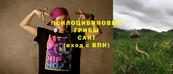 ECSTASY Абаза
