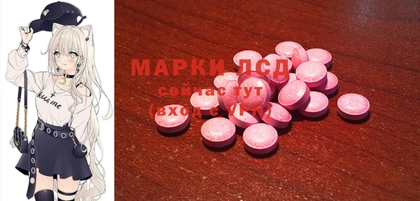 ECSTASY Абаза