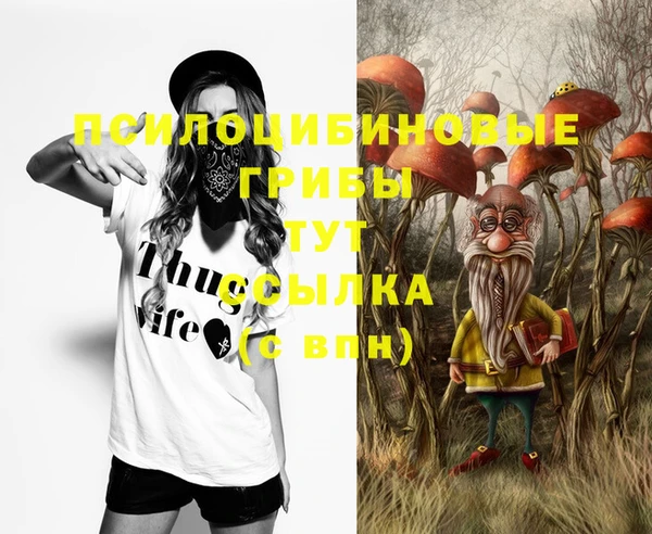 герыч Абинск