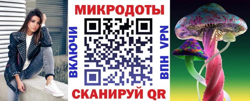 Псилоцибиновые грибы Psilocybe  купить закладку  Галич 