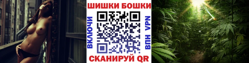 Бошки Шишки MAZAR  Галич 